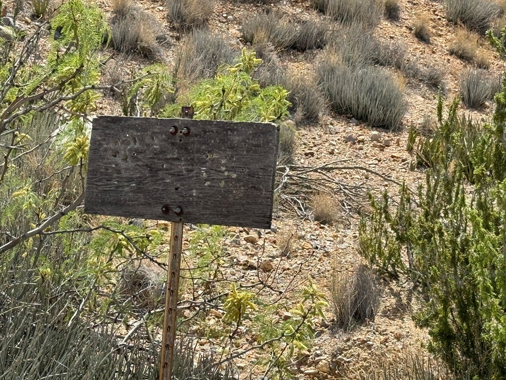 TR 42 Gate 2 Road, Terlingua, Texas image 38