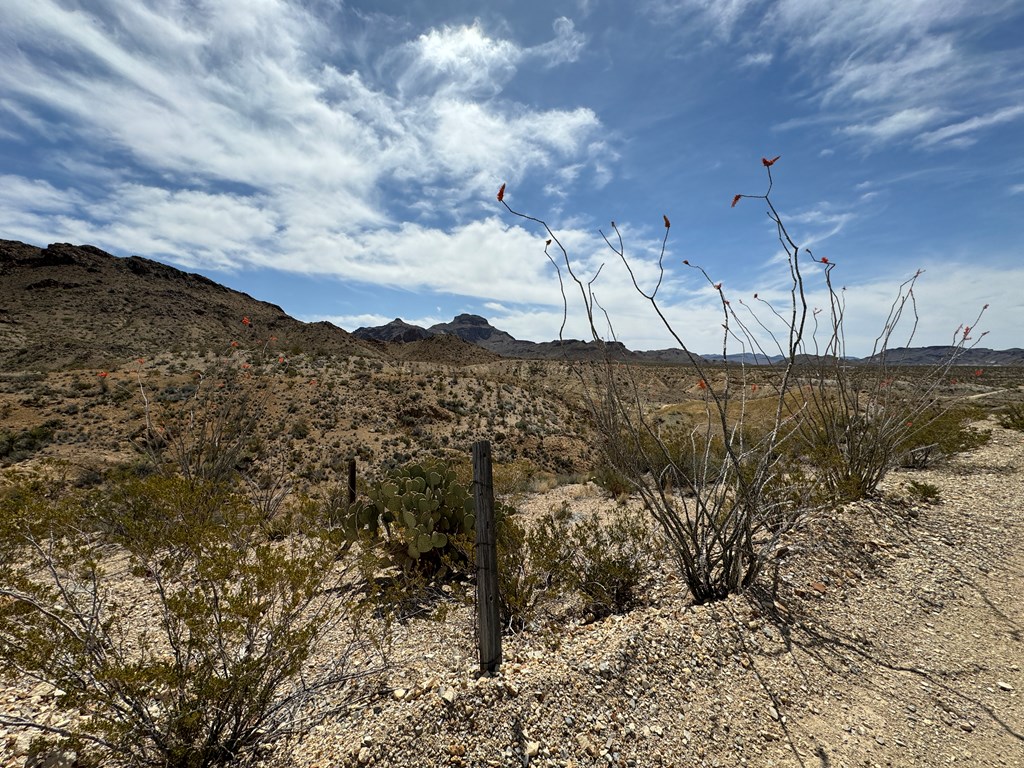 TR 42 Gate 2 Road, Terlingua, Texas image 25