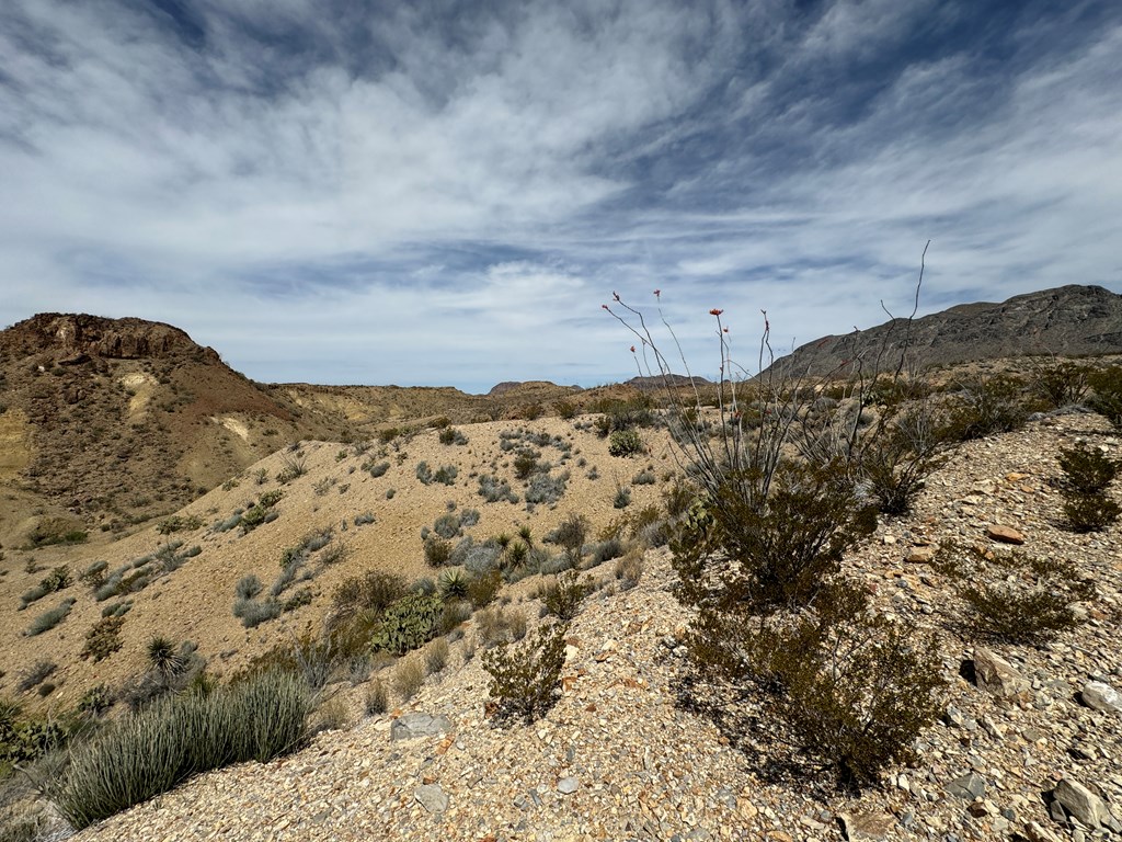 TR 42 Gate 2 Road, Terlingua, Texas image 23