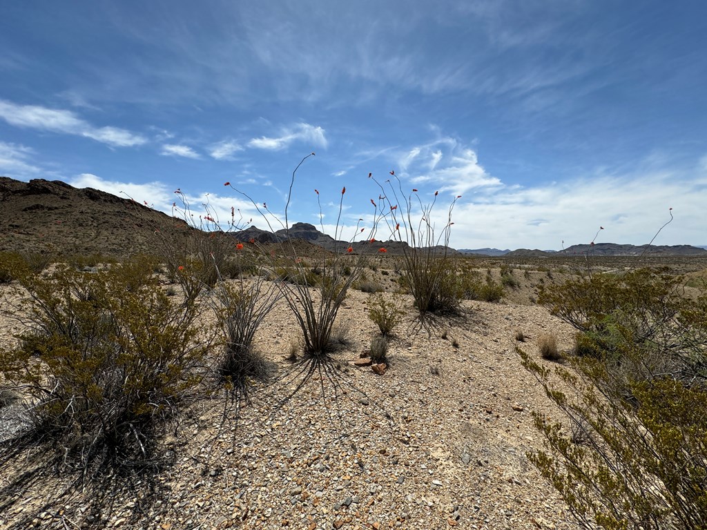 TR 42 Gate 2 Road, Terlingua, Texas image 44