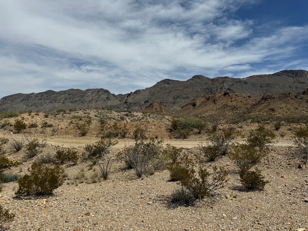 TR 42 Gate 2 Road, Terlingua, Texas image 50