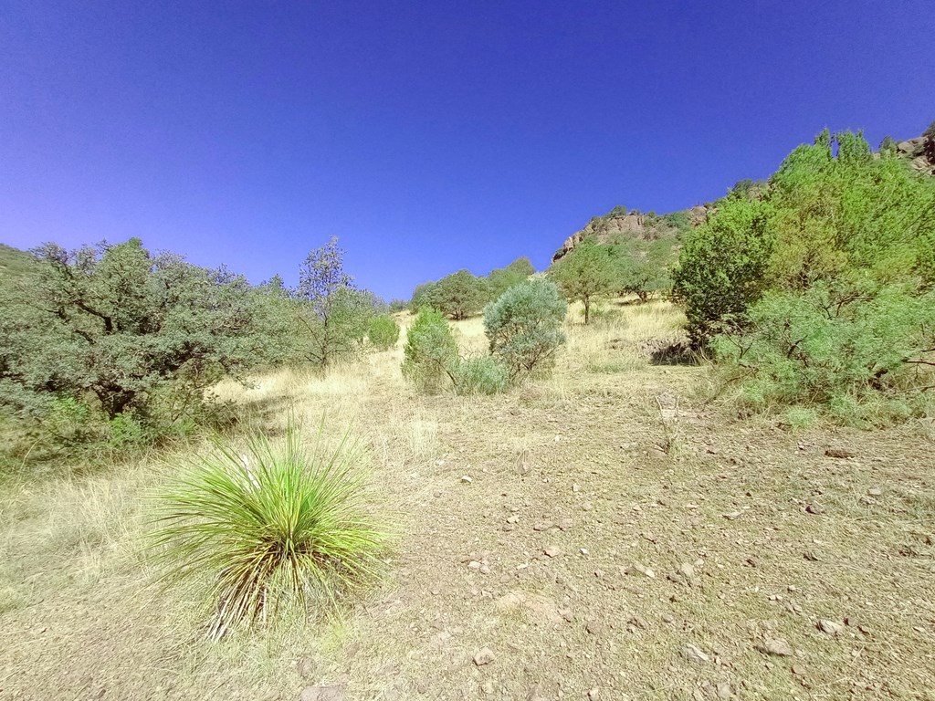 519 Squaw Valley Trail, Fort Davis, Texas image 8