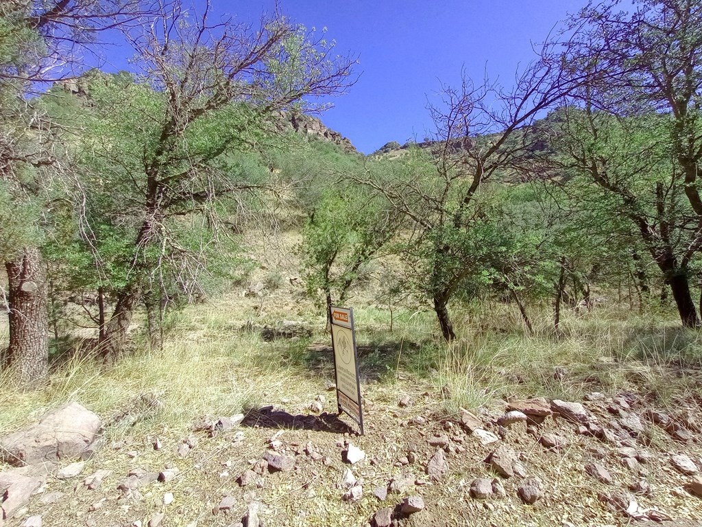 519 Squaw Valley Trail, Fort Davis, Texas image 12