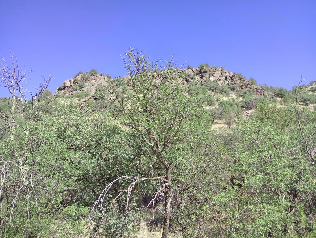 519 Squaw Valley Trail, Fort Davis, Texas image 10