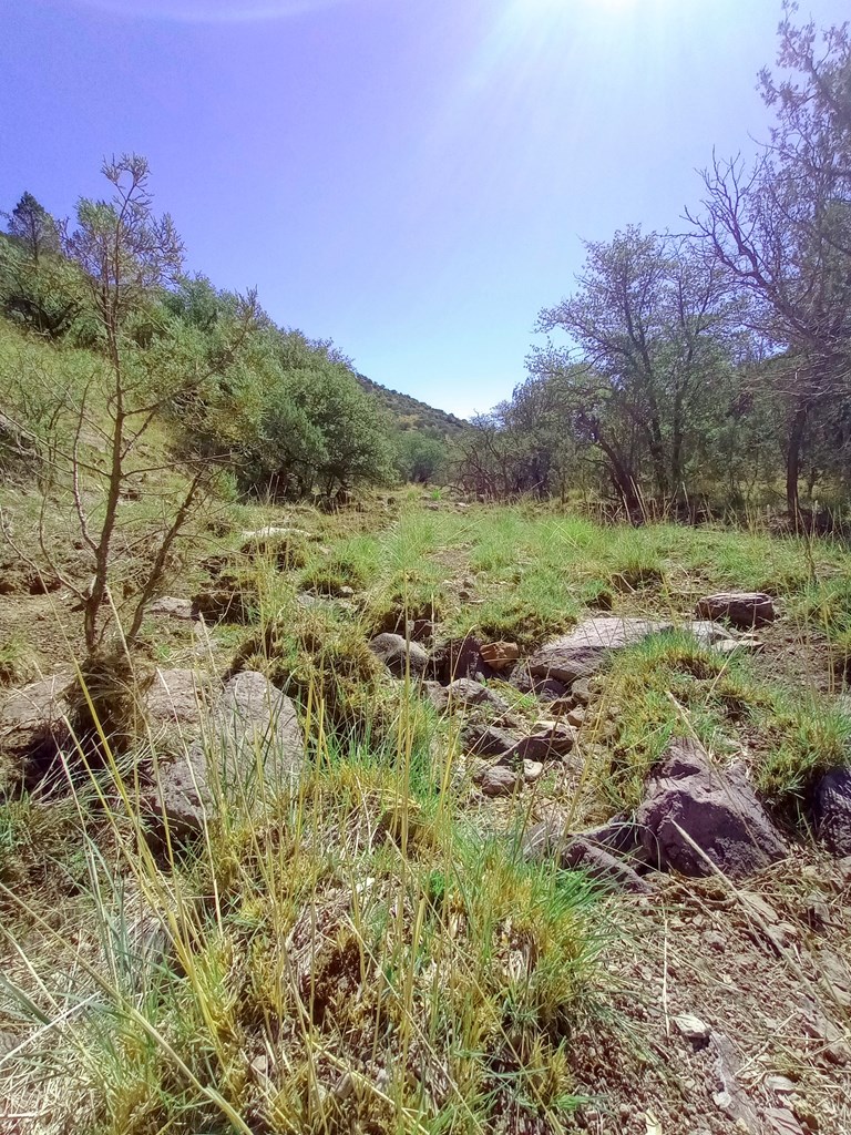 519 Squaw Valley Trail, Fort Davis, Texas image 13