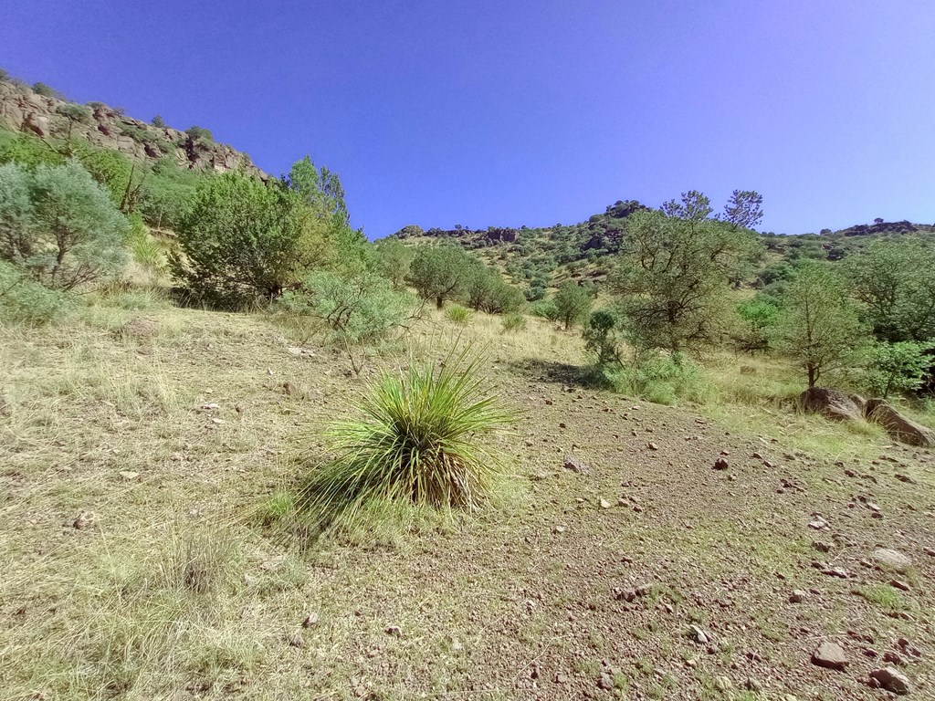 519 Squaw Valley Trail, Fort Davis, Texas image 6