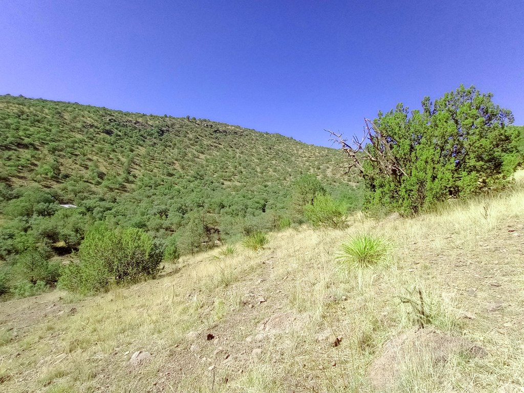 519 Squaw Valley Trail, Fort Davis, Texas image 3