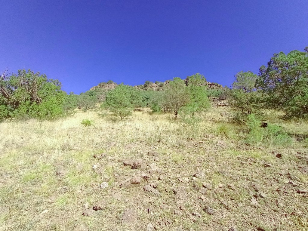 519 Squaw Valley Trail, Fort Davis, Texas image 16