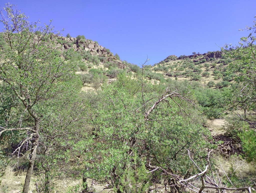 519 Squaw Valley Trail, Fort Davis, Texas image 11