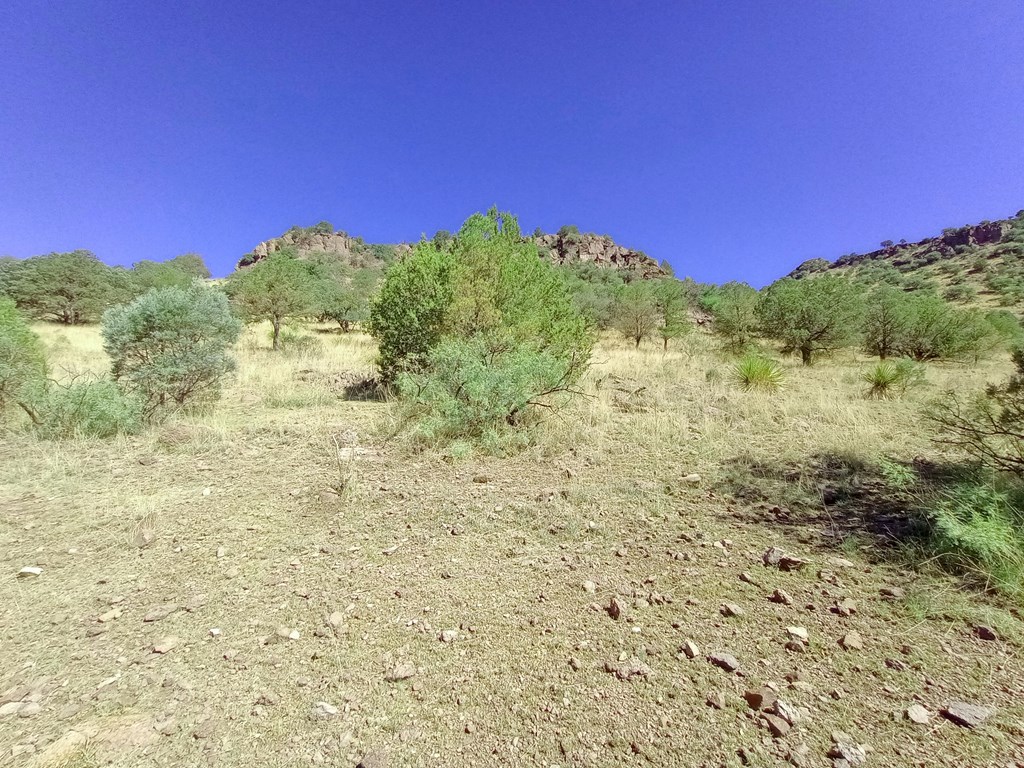 519 Squaw Valley Trail, Fort Davis, Texas image 7