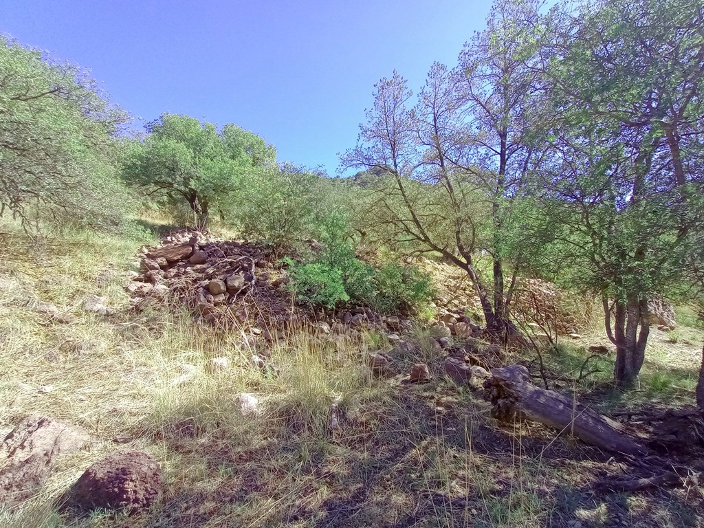 519 Squaw Valley Trail, Fort Davis, Texas image 14