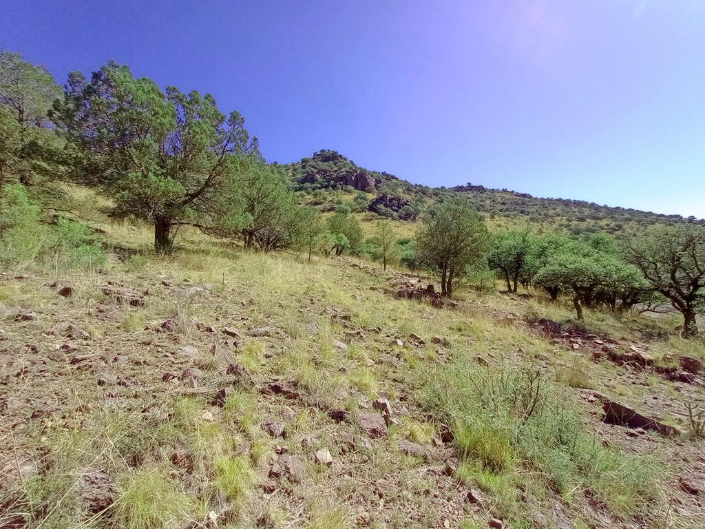 519 Squaw Valley Trail, Fort Davis, Texas image 1