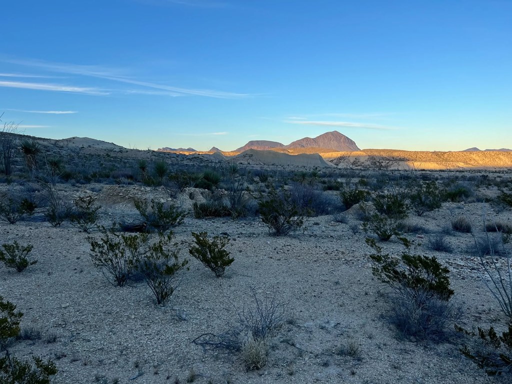 26503 Hermans Peak Rd, Terlingua, Texas image 5