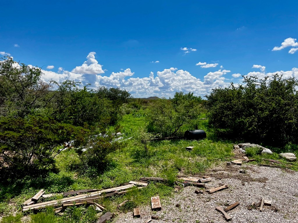 TBD Other Rd, Van Horn, Texas image 4