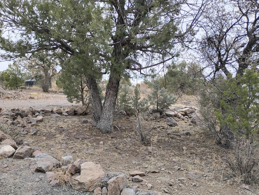 117 Chancellor Canyon, Fort Davis, Texas image 39