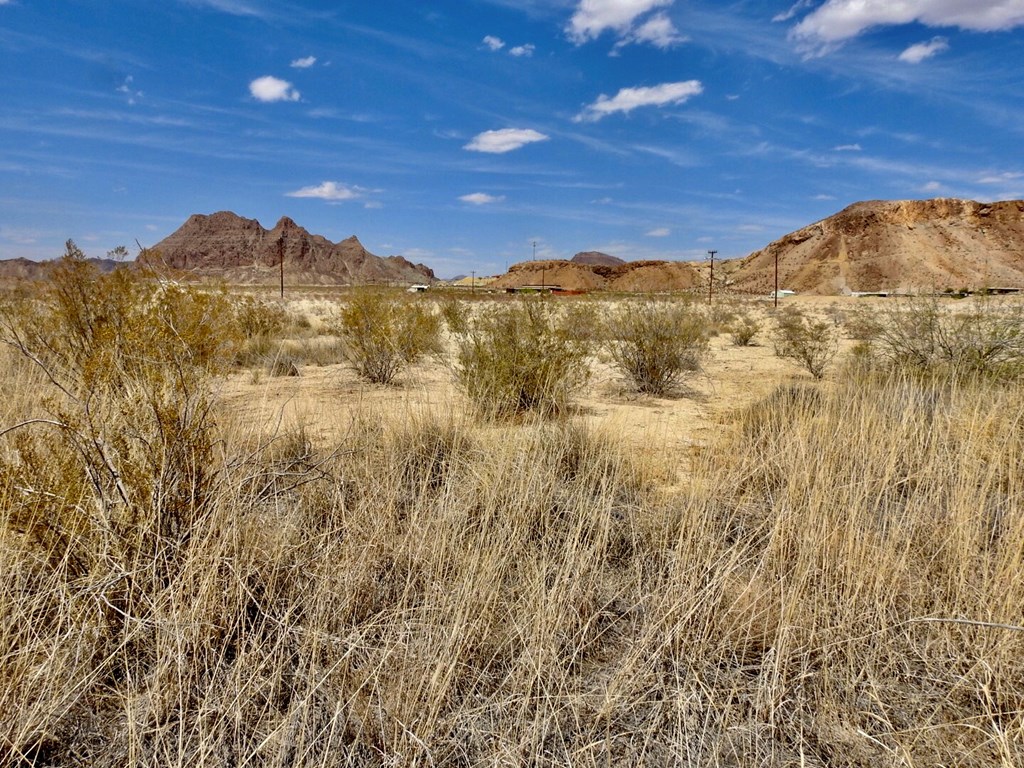 10 Road Runner St, Terlingua, Texas image 13