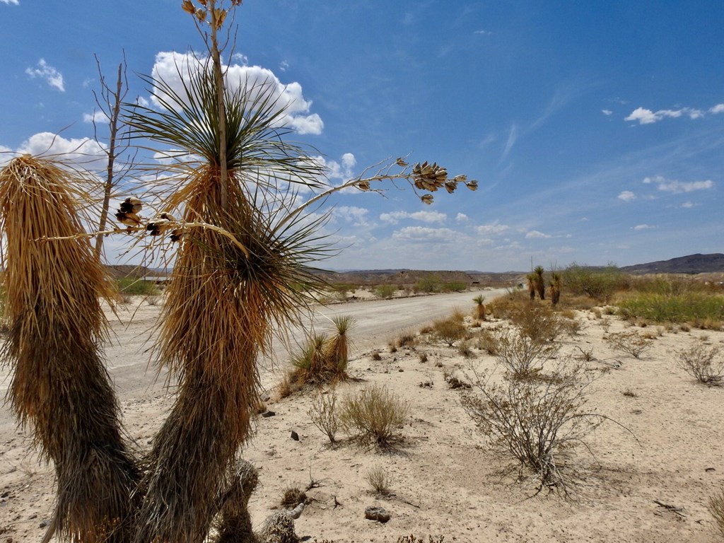 10 Road Runner St, Terlingua, Texas image 9