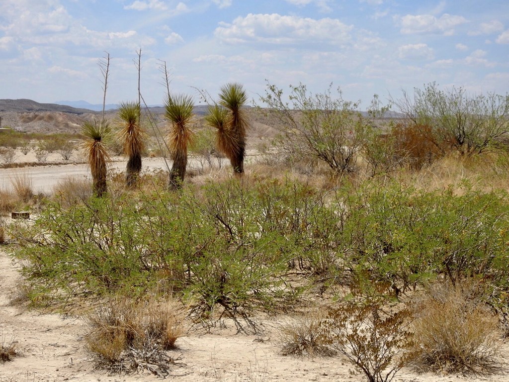 10 Road Runner St, Terlingua, Texas image 7