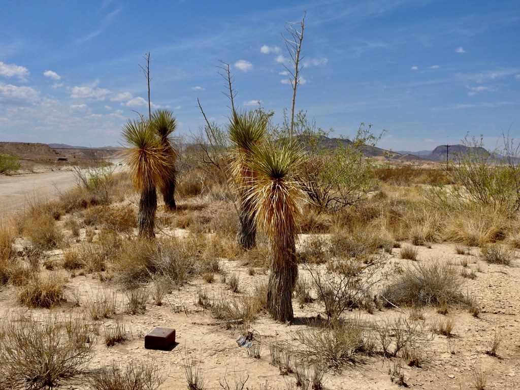 10 Road Runner St, Terlingua, Texas image 11