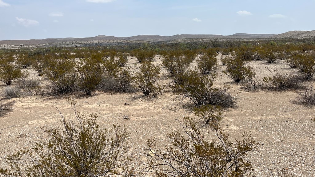 20872 Ivy Rd, Terlingua, Texas image 11