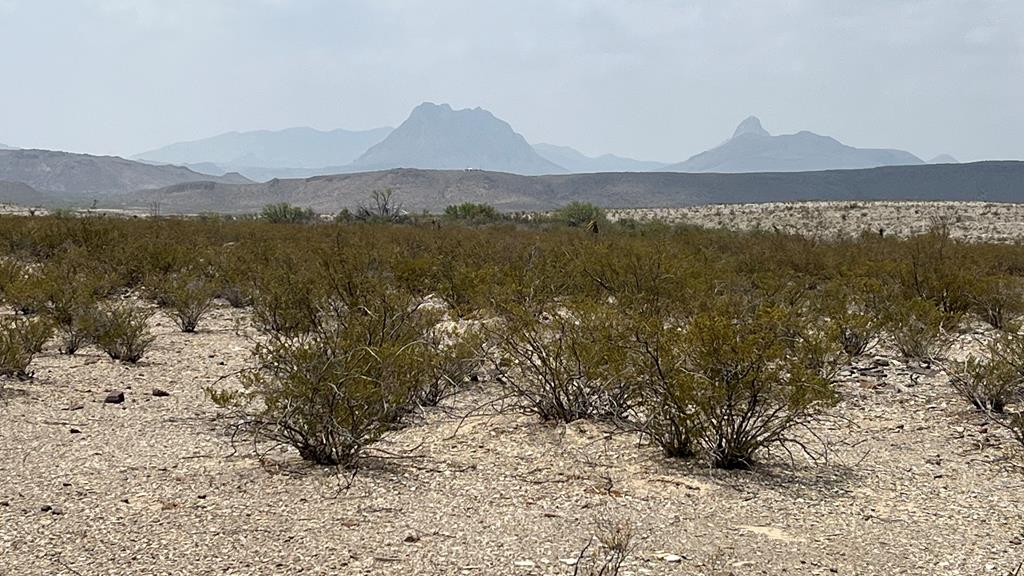 20872 Ivy Rd, Terlingua, Texas image 1