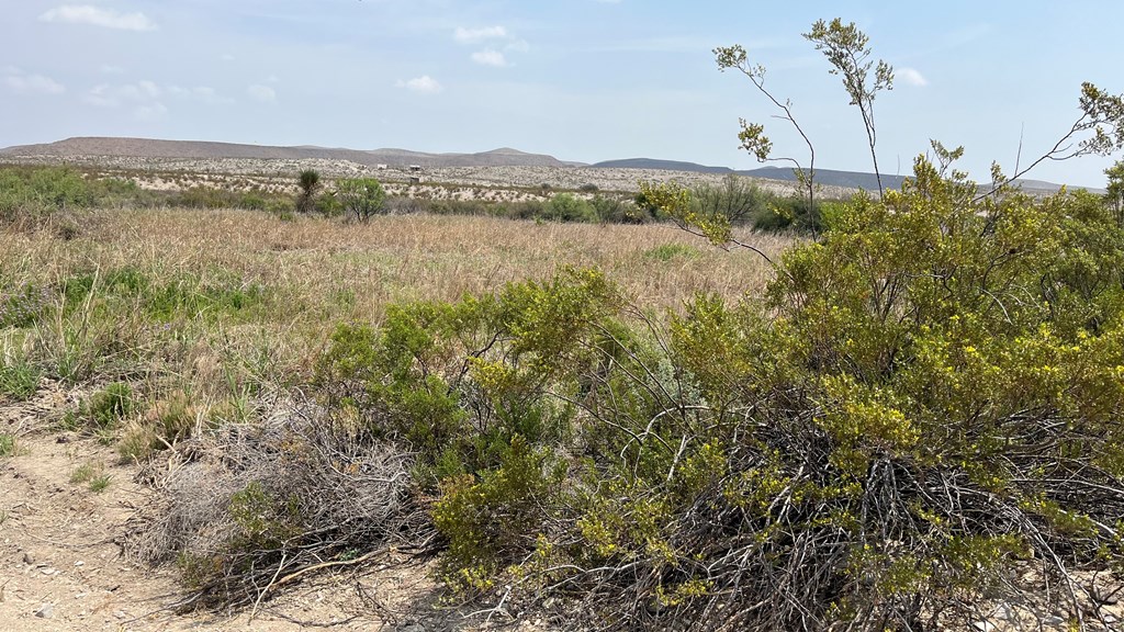 20872 Ivy Rd, Terlingua, Texas image 2