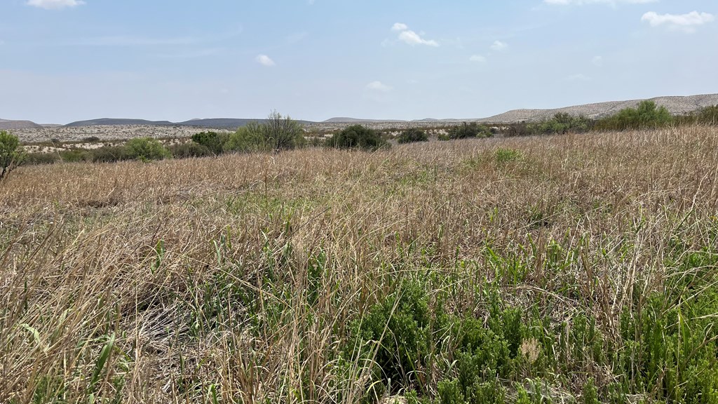 20872 Ivy Rd, Terlingua, Texas image 5