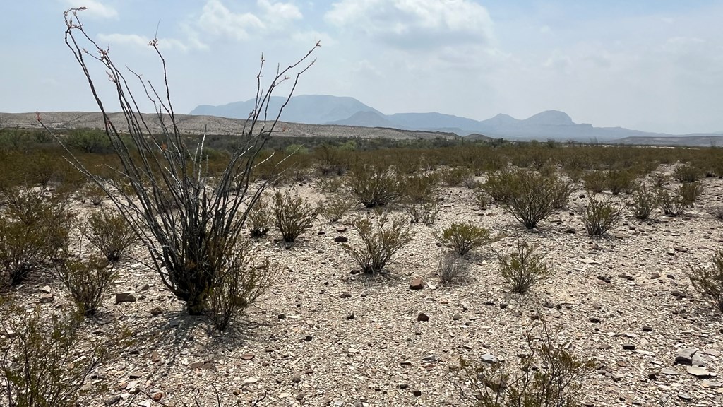 20872 Ivy Rd, Terlingua, Texas image 8