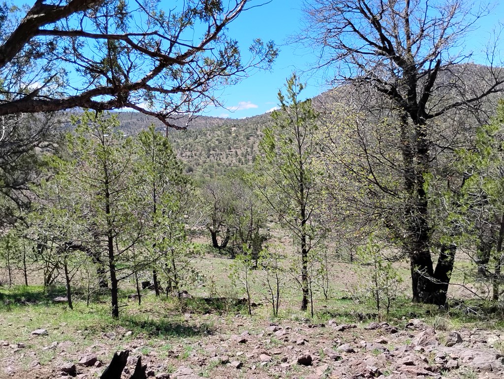 105 Crazy Horse Trail #6, Fort Davis, Texas image 36