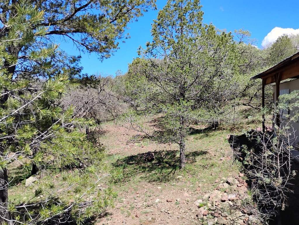 105 Crazy Horse Trail #6, Fort Davis, Texas image 42