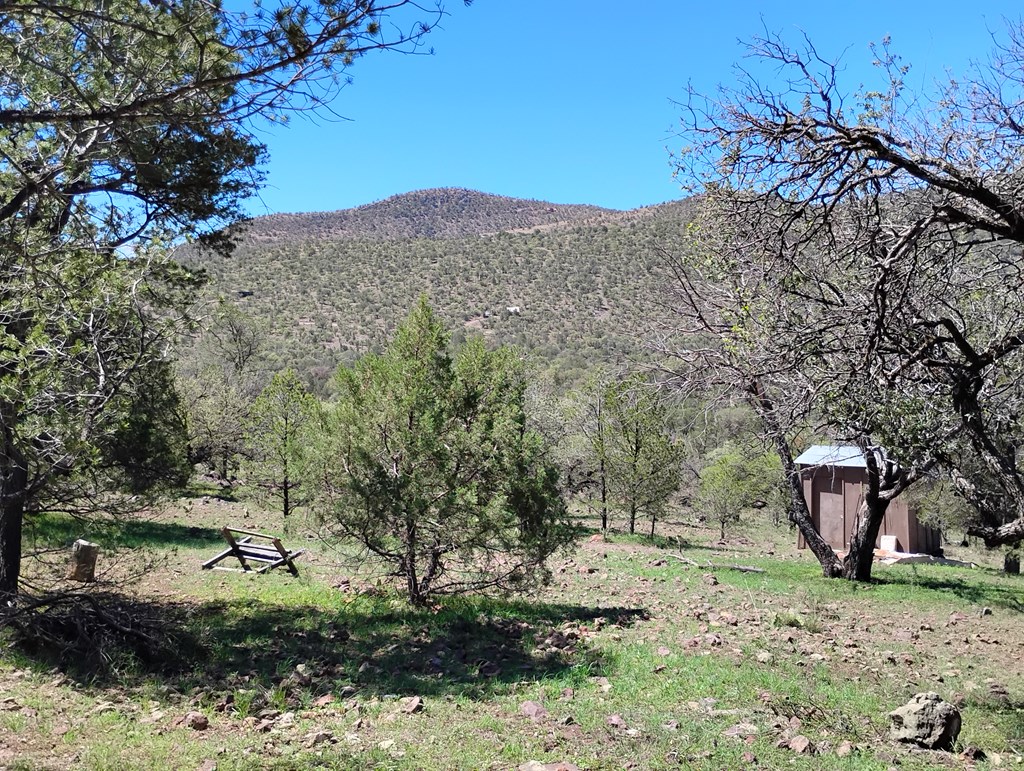 105 Crazy Horse Trail #6, Fort Davis, Texas image 13