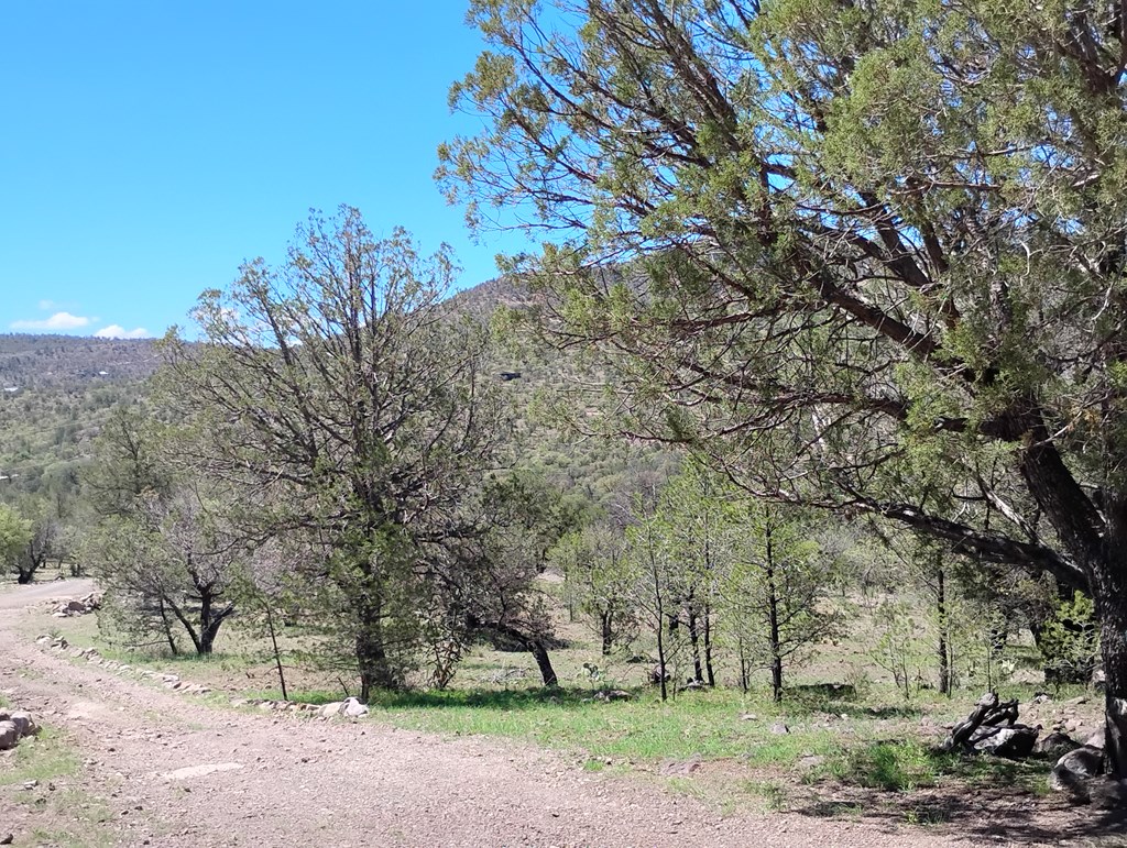 105 Crazy Horse Trail #6, Fort Davis, Texas image 31