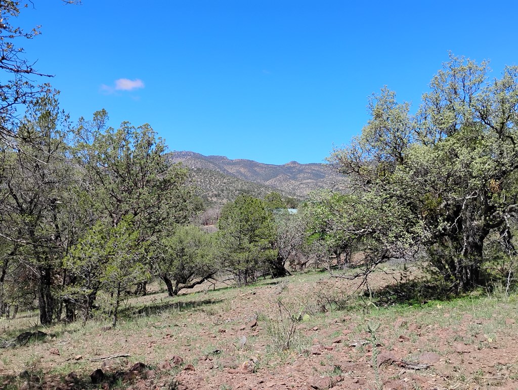 105 Crazy Horse Trail #6, Fort Davis, Texas image 16