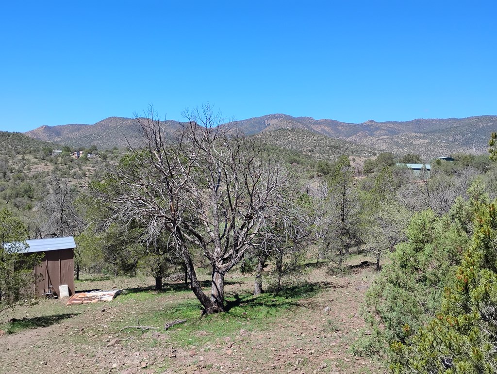 105 Crazy Horse Trail #6, Fort Davis, Texas image 40