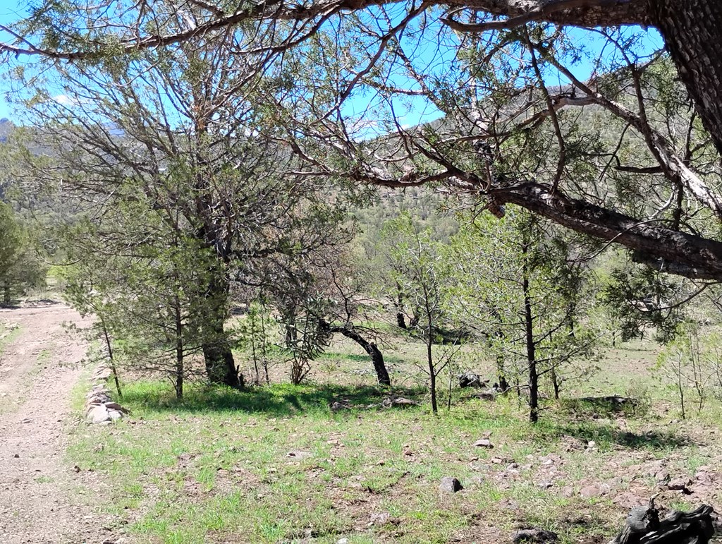 105 Crazy Horse Trail #6, Fort Davis, Texas image 34