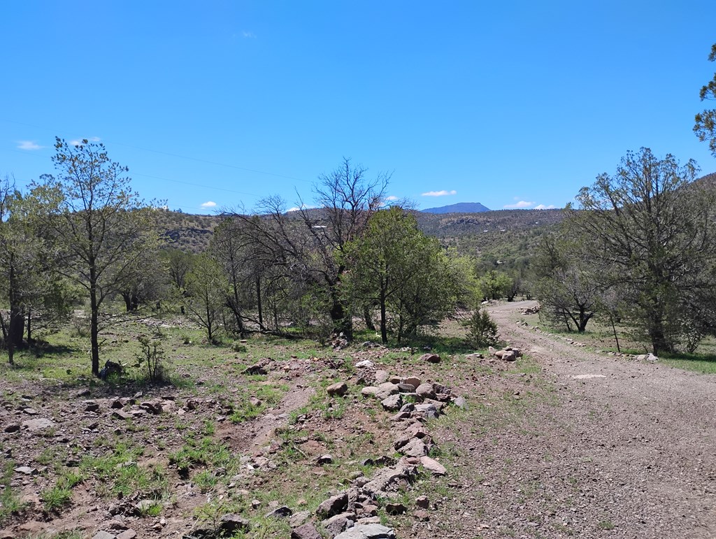 105 Crazy Horse Trail #6, Fort Davis, Texas image 30