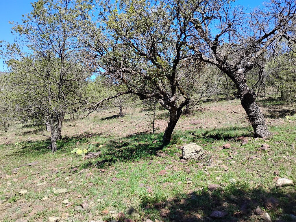 105 Crazy Horse Trail #6, Fort Davis, Texas image 8