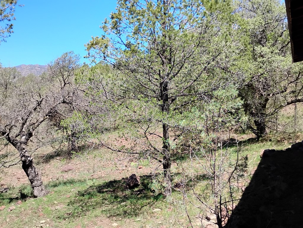 105 Crazy Horse Trail #6, Fort Davis, Texas image 44