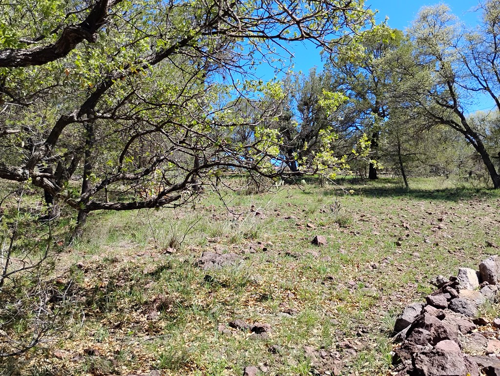 105 Crazy Horse Trail #6, Fort Davis, Texas image 12