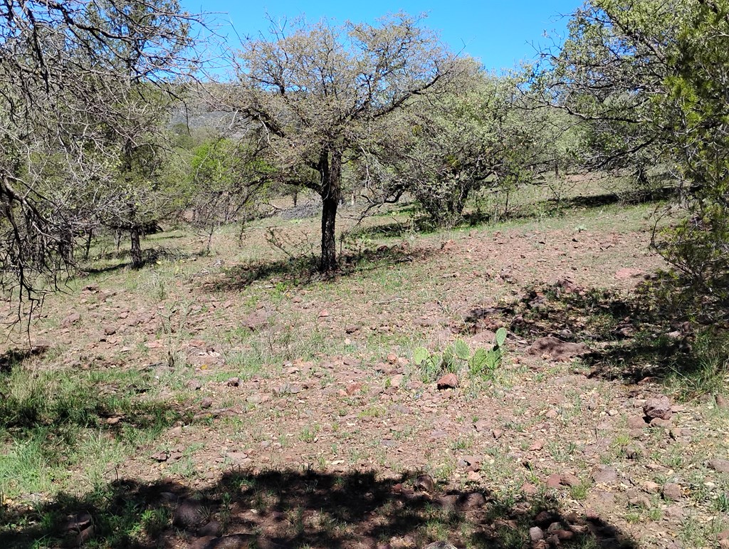 105 Crazy Horse Trail #6, Fort Davis, Texas image 11