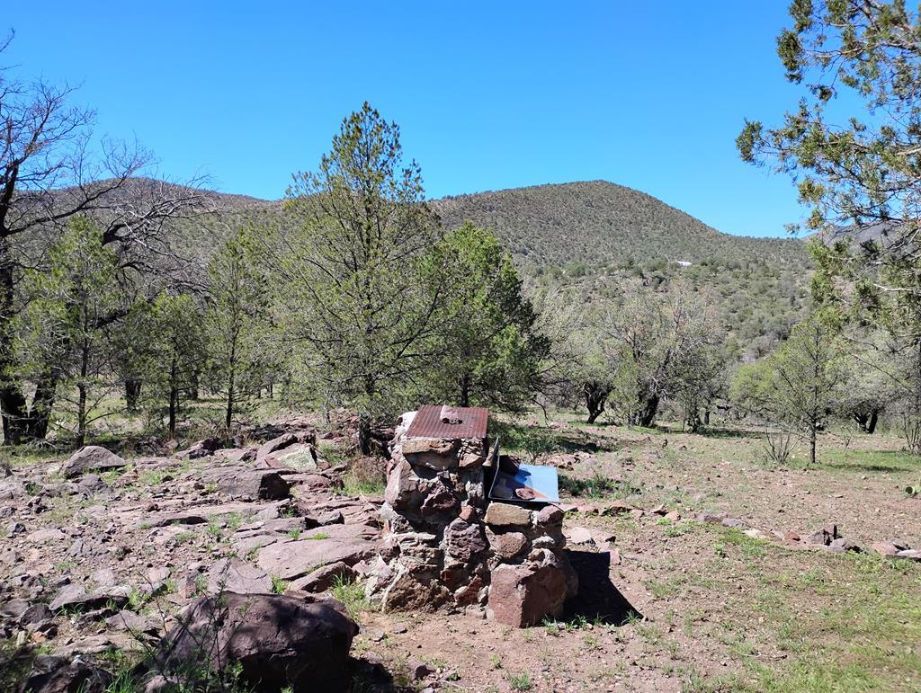 105 Crazy Horse Trail #6, Fort Davis, Texas image 2