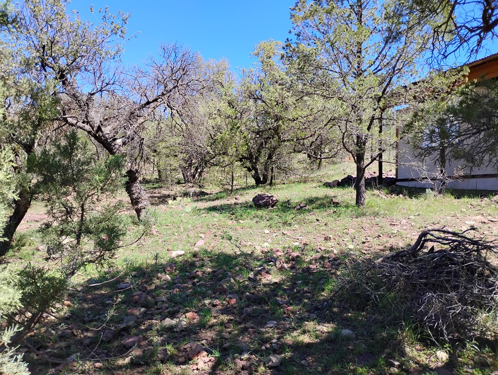 105 Crazy Horse Trail #6, Fort Davis, Texas image 4