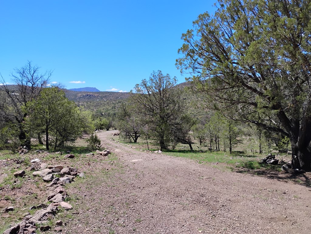 105 Crazy Horse Trail #6, Fort Davis, Texas image 29