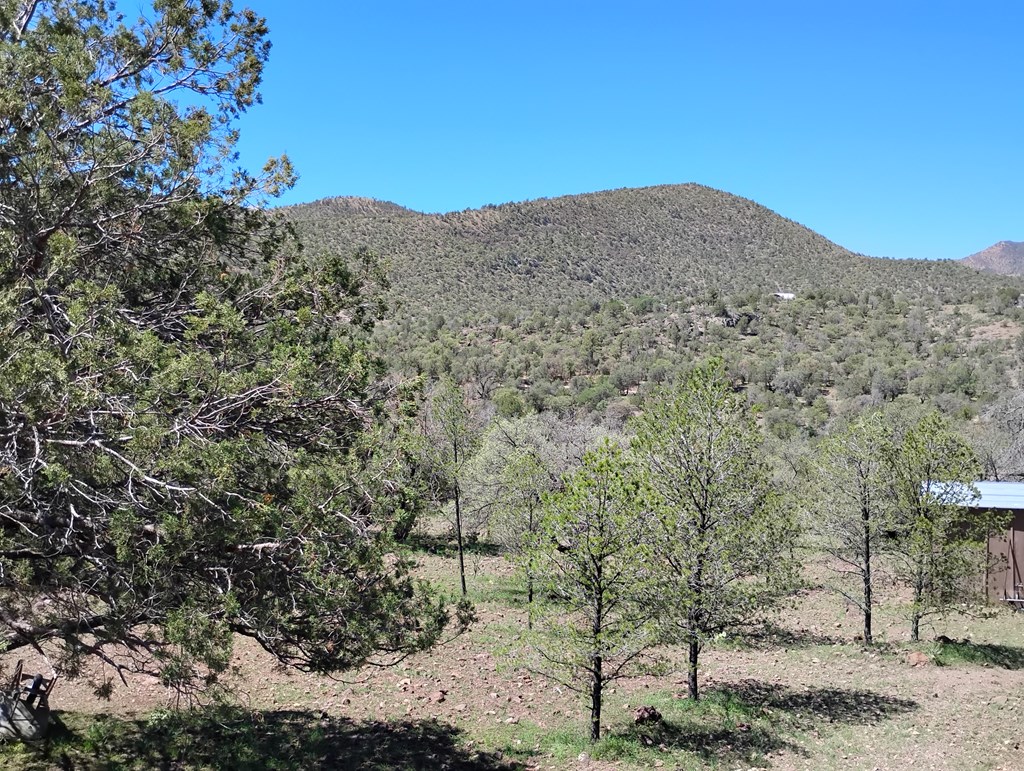 105 Crazy Horse Trail #6, Fort Davis, Texas image 41