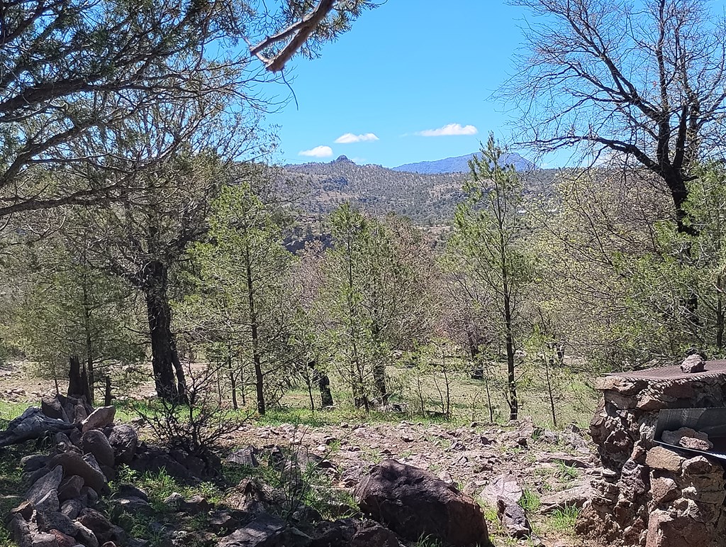 105 Crazy Horse Trail #6, Fort Davis, Texas image 25