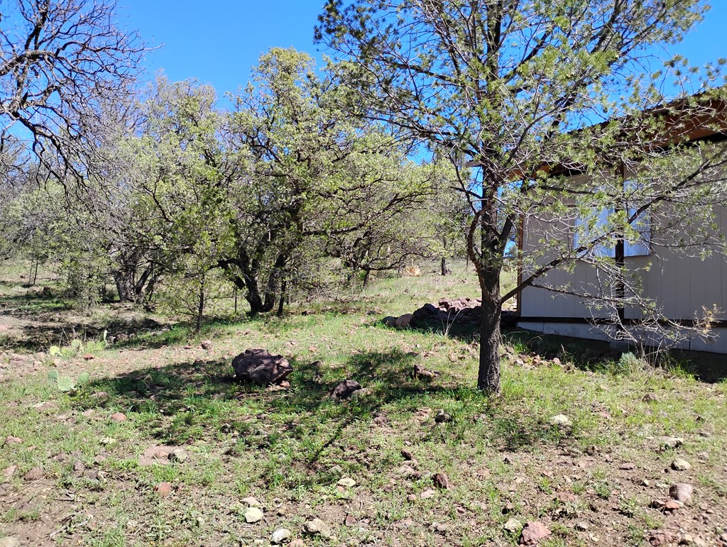 105 Crazy Horse Trail #6, Fort Davis, Texas image 9