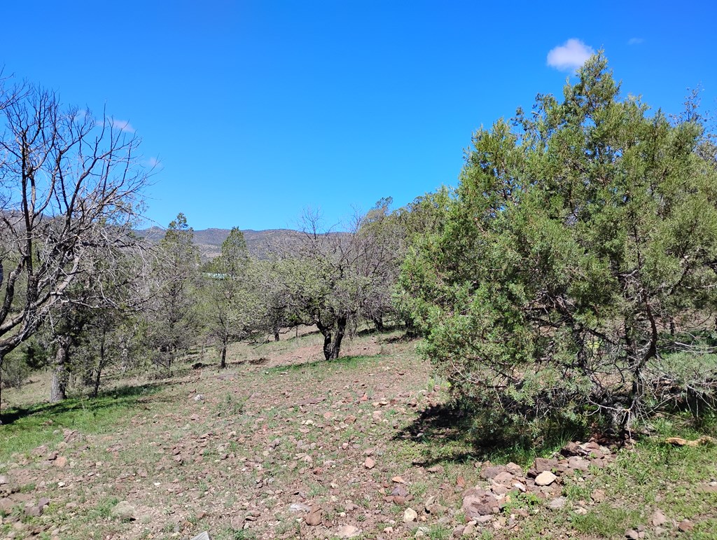 105 Crazy Horse Trail #6, Fort Davis, Texas image 7