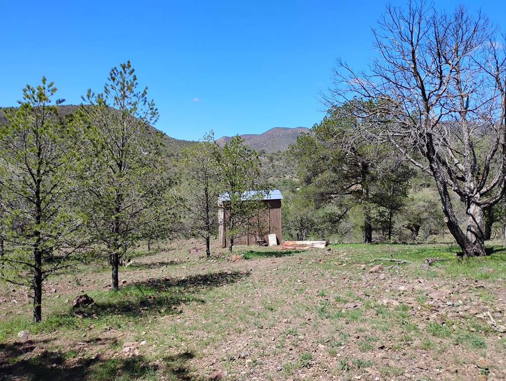 105 Crazy Horse Trail #6, Fort Davis, Texas image 5