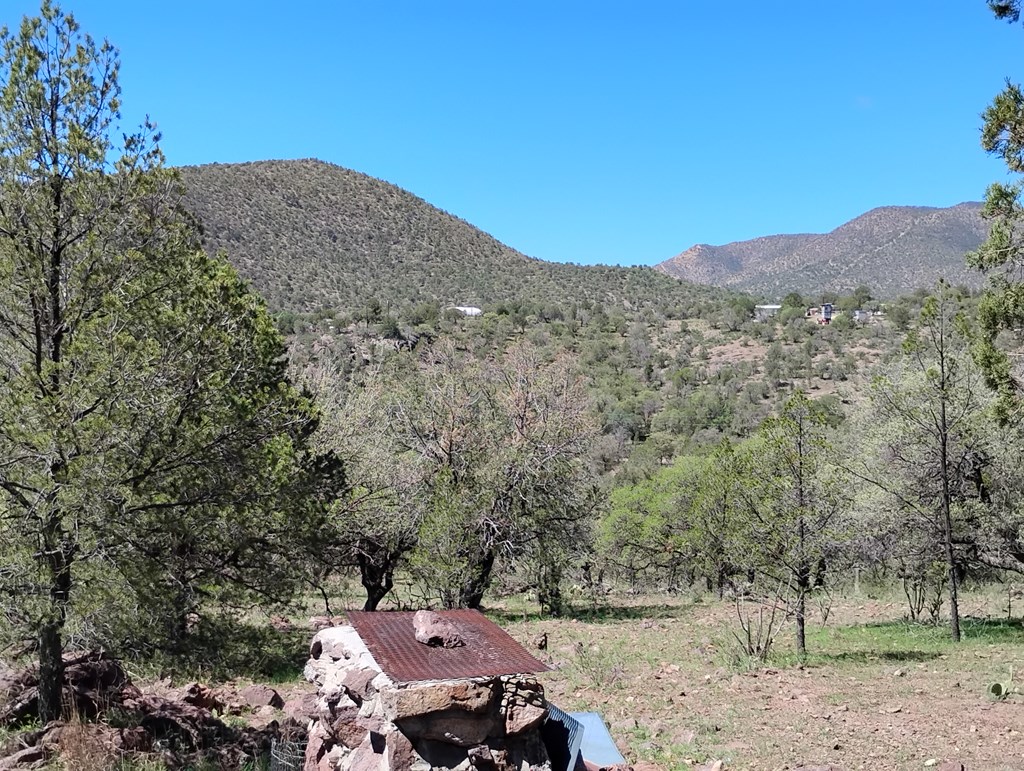 105 Crazy Horse Trail #6, Fort Davis, Texas image 35