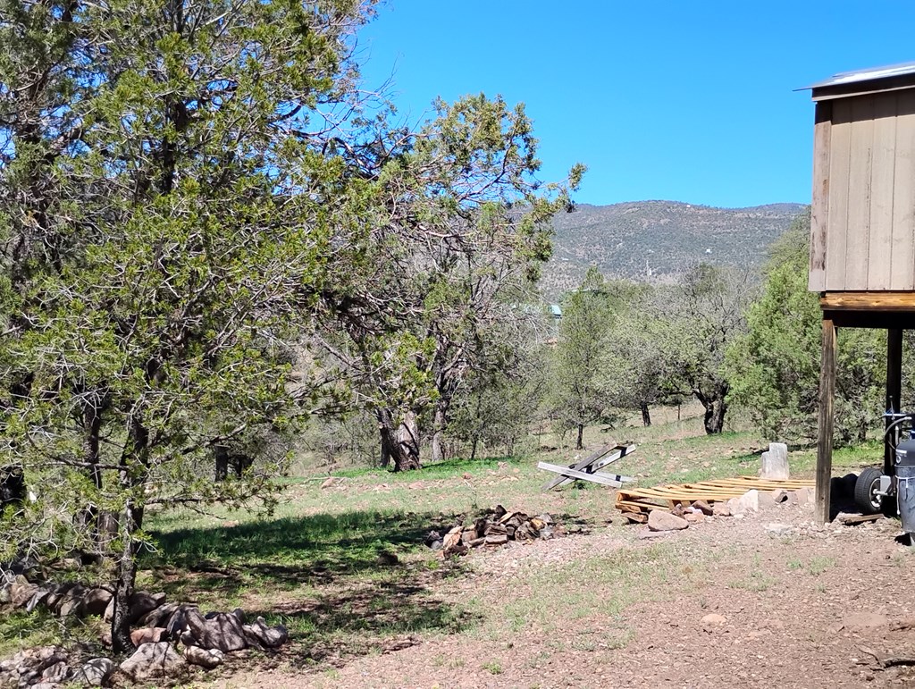 105 Crazy Horse Trail #6, Fort Davis, Texas image 32